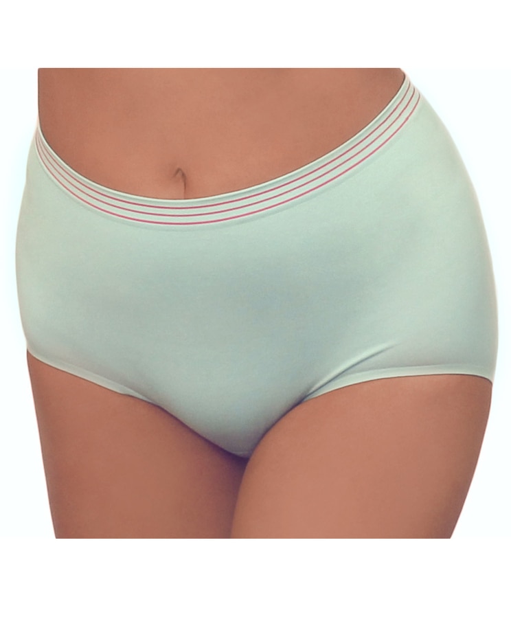 Seamless High-Waisted Modal Panty 3Pack image number 1