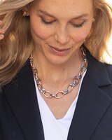 Two-Tone Toggle Link Necklace thumbnail number 4