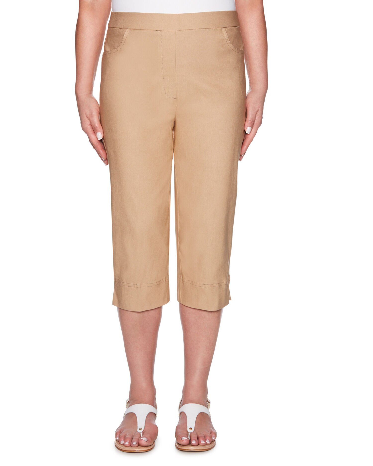 Alfred dunner allure stretch pants store