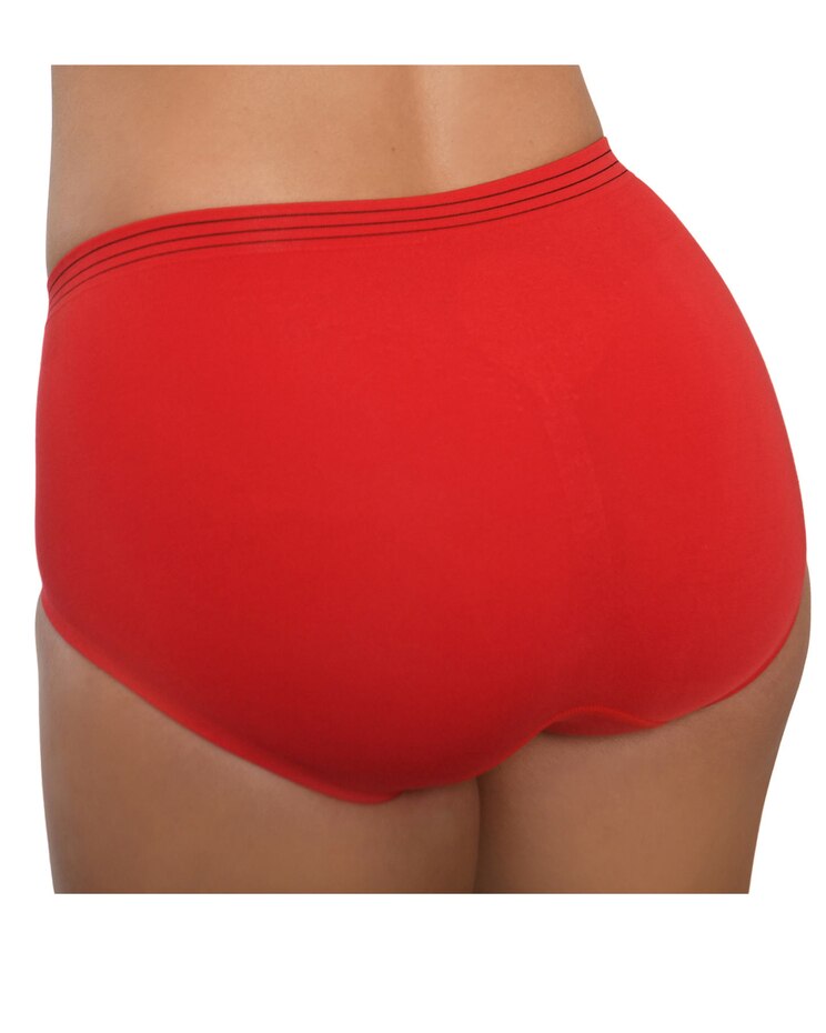 Seamless High-Waisted Modal Panty 3Pack image number 2