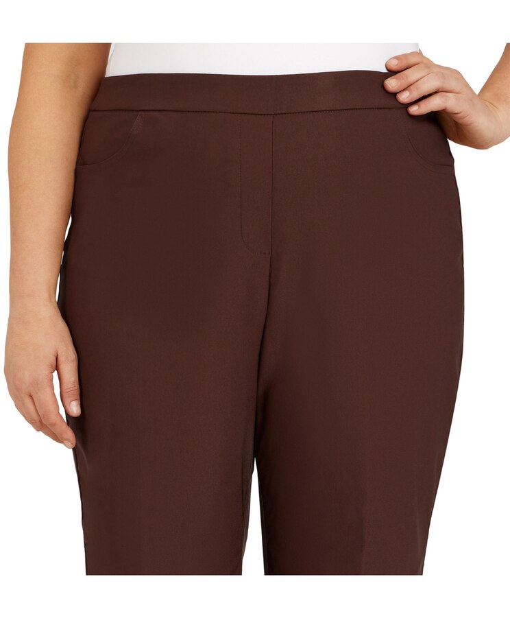Alfred Dunner Classic Pull-On Proportioned Straight Leg Pants image number 4