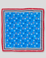 Shore Lines Border-Print Scarf thumbnail number 3