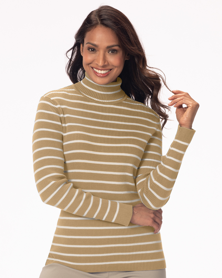 Striped Ribbed Cotton Turtleneck Sweater image number 1