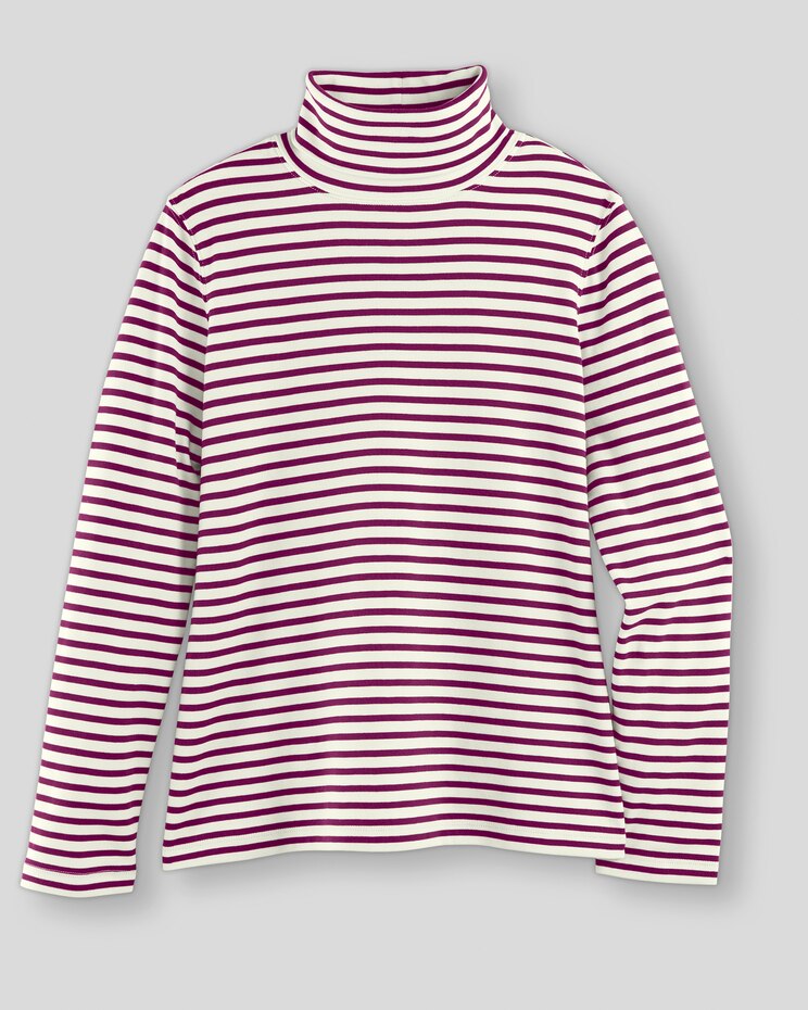 Essential Cotton Striped Turtleneck image number 1