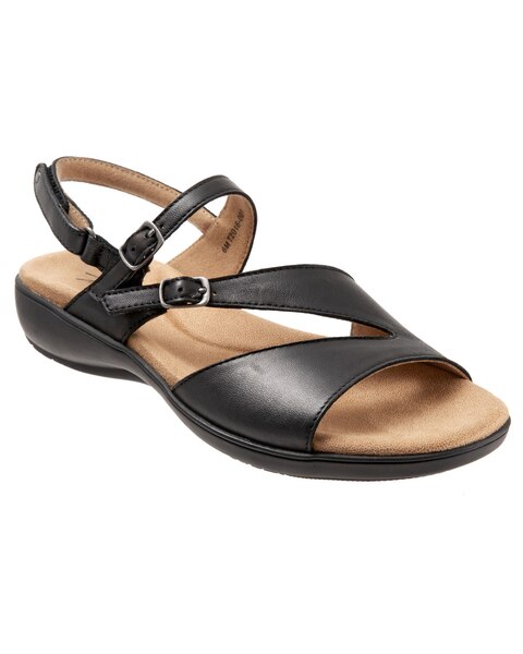 Trotter's Riva 