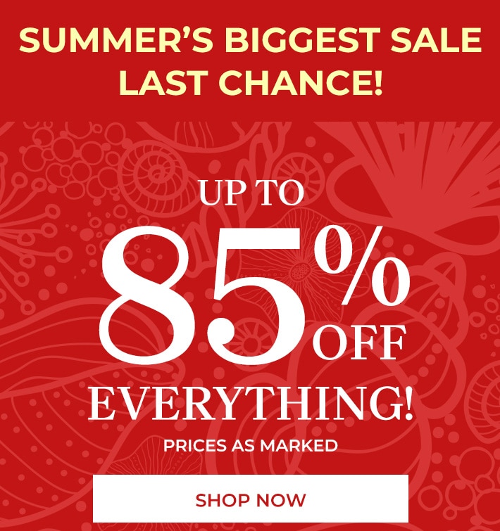 summer's biggest sale. last chance up to 85% off everything* prices as marked shop now