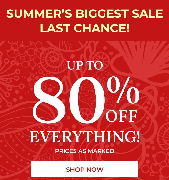 summer's biggest sale. last chance up to 80% off everything* prices as marked shop now
