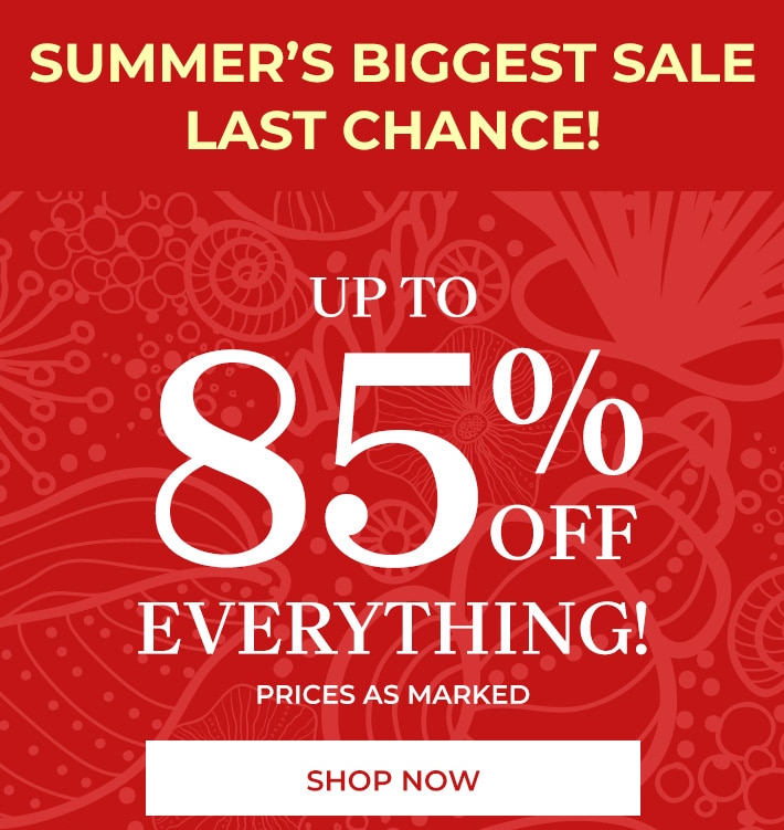 summer's biggest sale. last chance up to 85% off everything* prices as marked shop now