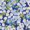 Prima™ Cotton Posy Print Tee